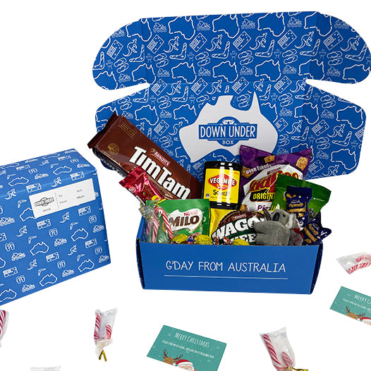 A Paw-some Christmas Crafting the Ultimate Pet Care Package